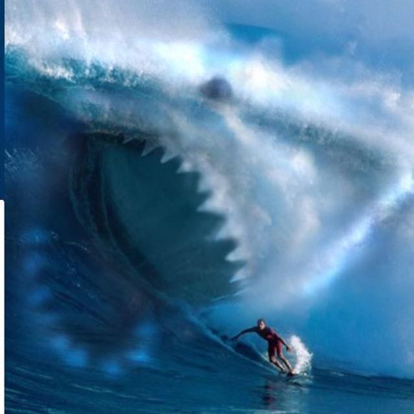 Meet your Posher, Tony - Picture 1 of 1